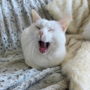 ladythorthegray avatar