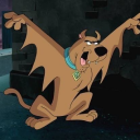 ladytitaness1 avatar