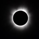 laforestadeipazzi avatar