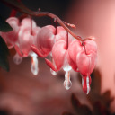 lagerdahl-photography avatar