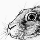 lagomorphoid avatar