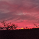 lagrimas-y-lluvia avatar