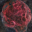 lahanatursusu avatar