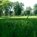 laid-in-the-shade avatar