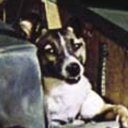 laikathespaceangel avatar