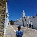 lailx avatar