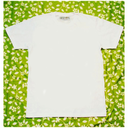 lakeandchapel avatar