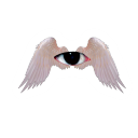 lala084205211732566109482 avatar