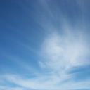 lalalafanatic avatar