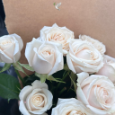 lalalalaafuckit avatar