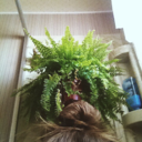 lalavandaluna avatar