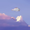 lalunastudies avatar