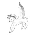 lamb-stork avatar