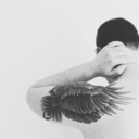 lambsxbecomexlions avatar