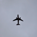 lamiacanzonedamore avatar