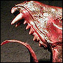 lammergeier avatar