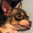 lamotriginejellybean avatar