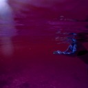 lana-sladovic avatar