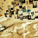 lananin-karisi-blog avatar