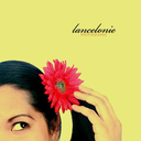 lancelonie avatar