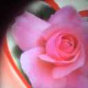 lancelotworld779 avatar