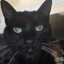 lancemclanceykins avatar