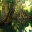 landofpleasantliving avatar