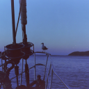 landofthelust4 avatar