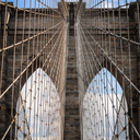 landontheearth avatar