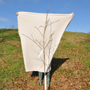 landscapereflections avatar