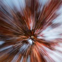 landscapes-mostly avatar