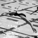 lane4swimmer-blog avatar