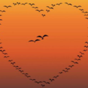 lanelamourtoujours avatar