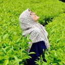 langit-rinduku avatar