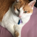 lank-sextburg avatar