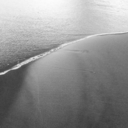 lanuitrevient avatar