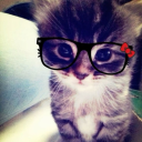 laquraa avatar
