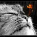 lara-croft-blog avatar