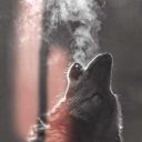 laragazzaluposblog-blog avatar