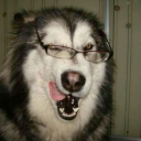 largefvckinbank avatar