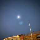 lariredelameduse avatar