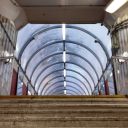 larry-from-spongers avatar