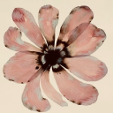 larryflorzitas avatar