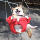 larrymccherry avatar