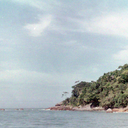 larrysourmash avatar