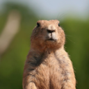 larrystylinsonlovecandy avatar