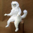 lars-the-cat-lady avatar