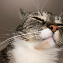 laseduisant avatar