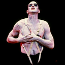 laserkittensinspace avatar