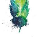 last-babbling-jay avatar